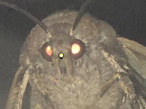 Lamp?