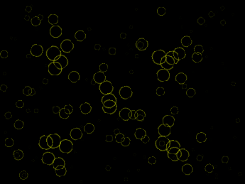 Random Project?