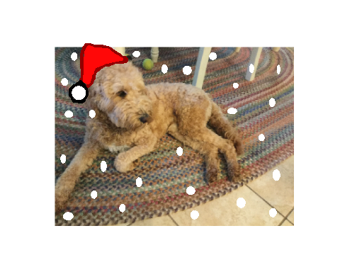 Christmas Profile!!!