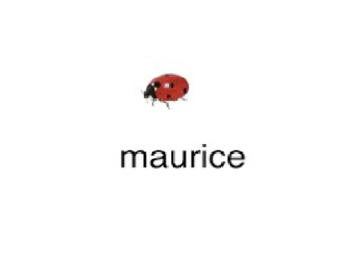 maurice xdd
