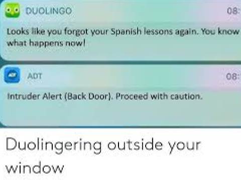 Duolingo In Your Window