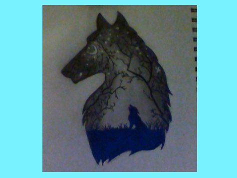 A Wolf Drawing