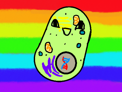 animal cell-wip