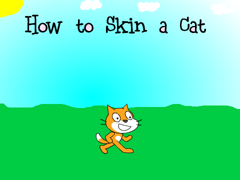 How to Skin a Cat remix