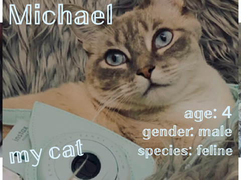 {{ my cat }}