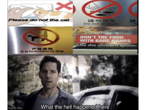 MEMES 2