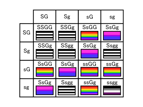 Gayness Punnett Square