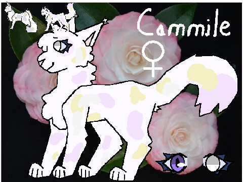 *OUTDATED* Camillewish Ref