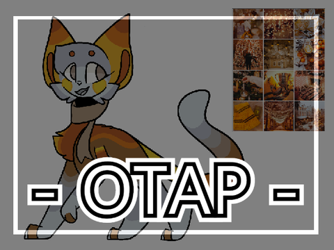 -[ otap ]-