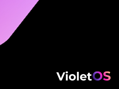 Team Violet ✦