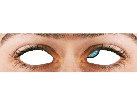eyes