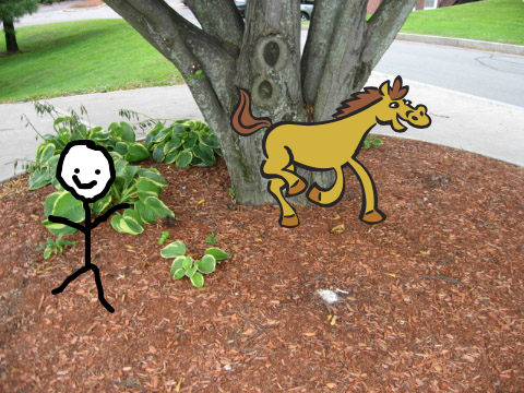 Steve and his horse