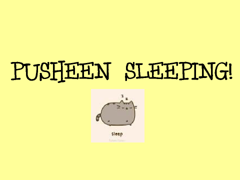 Pusheen Sleeping!