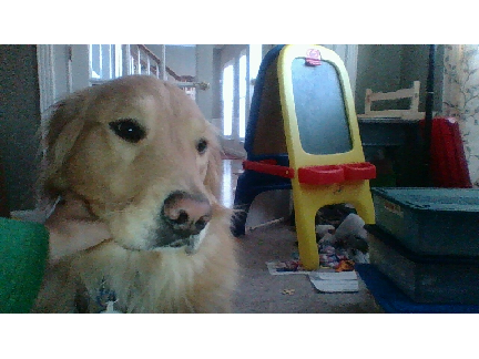 My Doggo, Luna