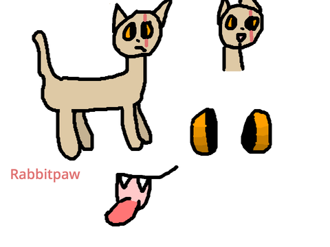 @Boulderpatch (Mistymeadow and Rabbitpaw)