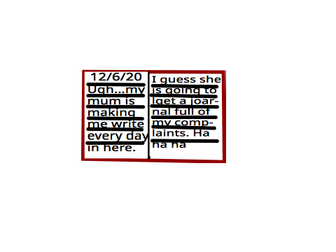Diary WITH PAGES 