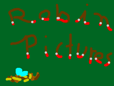 Robin Pictures