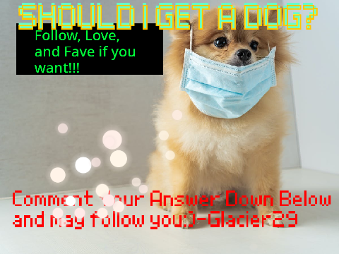 Dog Poll+ Follow if answer
