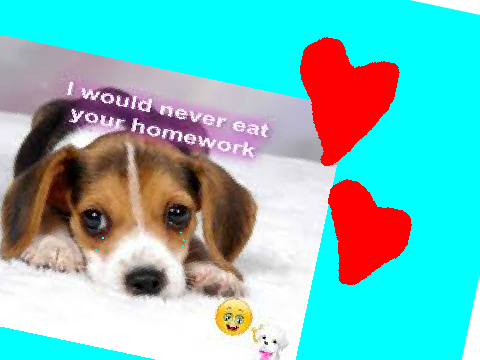 I Love Puppy's!!!