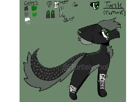 Turtle OC Ref (UPDATED)
