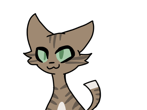 Pipitpaw 