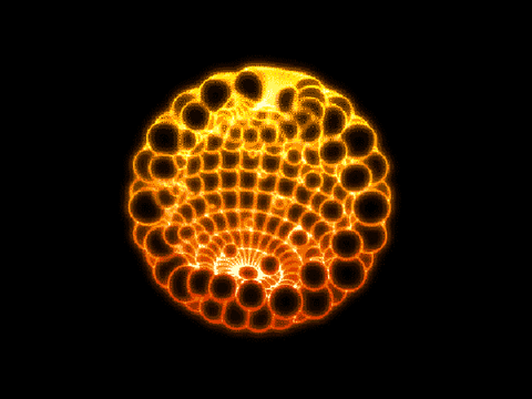 fire orb