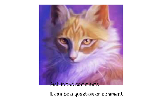 Ask roxythecat10/Tigerfoot :3