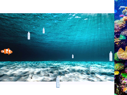 Fish Vs Plastic