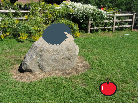 hedge hog mayham