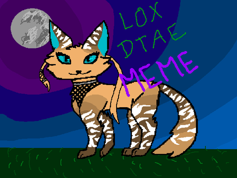 Warriors // Lox DTAE MEME