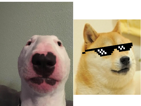 BEST BUDDIES
