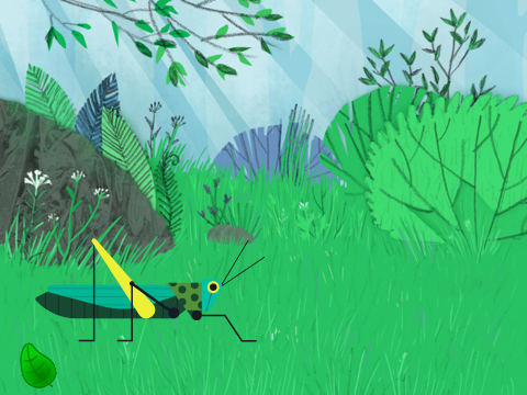 Grasshopper