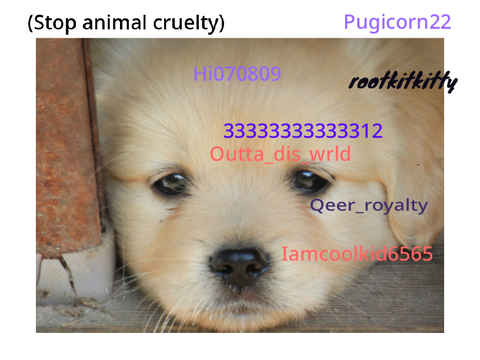 sign if you hate animal cruelty