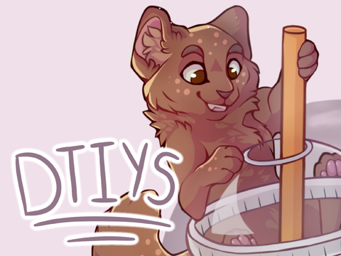 DTIYS Entry