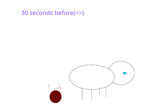 a dogy droped it