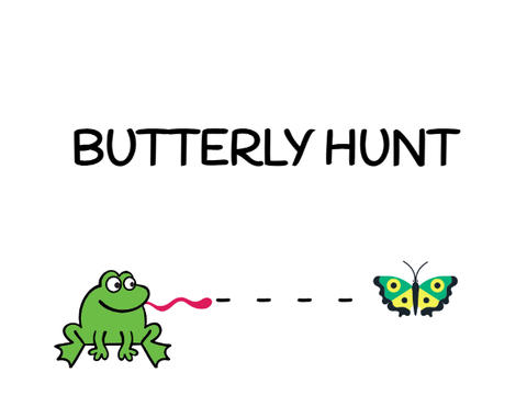 BUTTERFLY HUNT