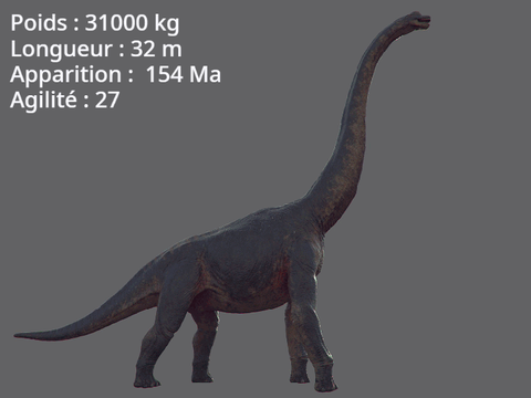 Diplodocus