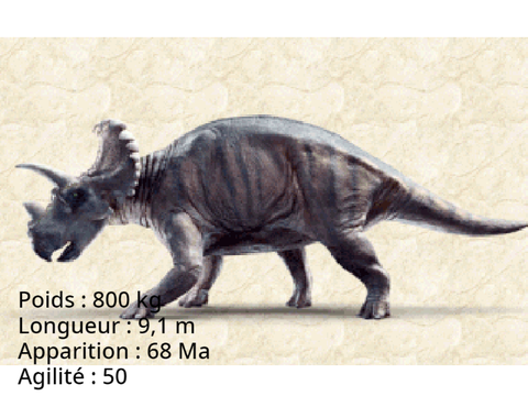 Tricératops 