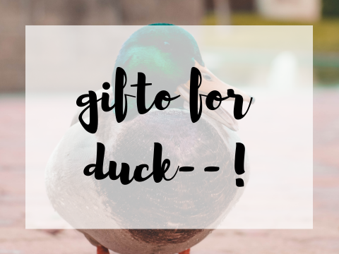 gifto for ducky!