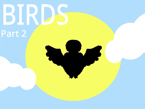 Birds | Tryout For Part 2