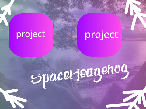 Outro for  SpaceHedgehog 