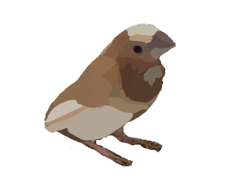Birdy Blockshade (Starring my bird)