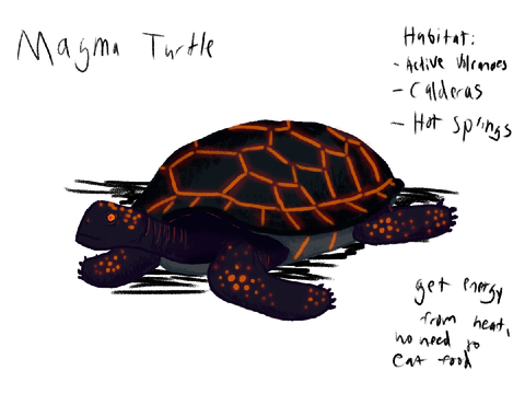 Magma Turtle
