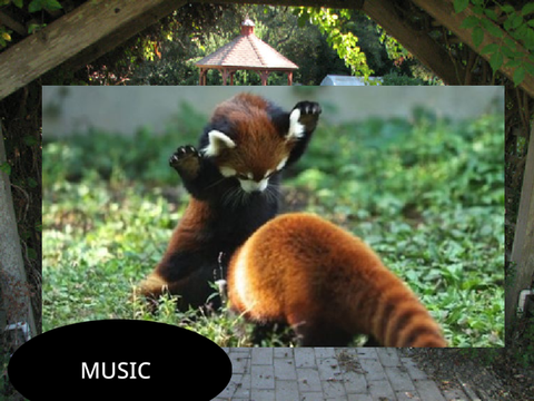 Panda Music