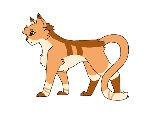 Antwhisker ReDesign