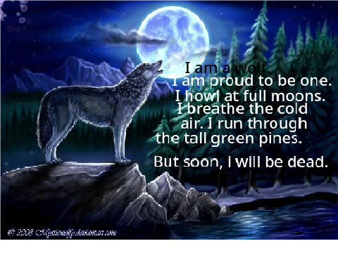 Sign To Stop Wolf Hunting: remix remix remix!!!! :) remix remix remix remix remix remix remix remix