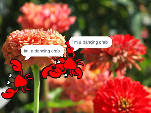 Chaos crabs