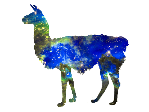 The Llama song!!