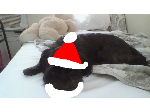 MY DOG DIESEL SO CUTE remix-2 santa