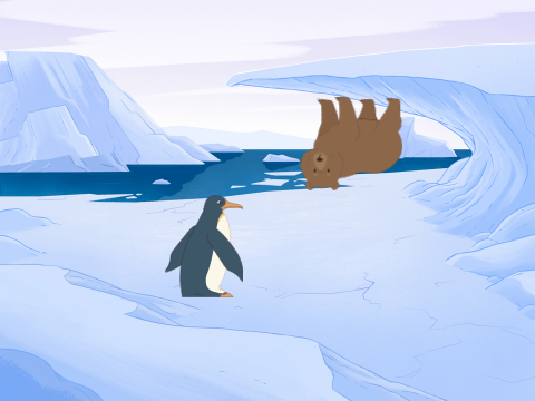 Find the Bear Arctic Hide & Seek
